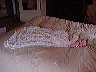 dsc01203.jpg