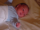 adsc01036.jpg