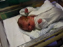 dsc01577.jpg