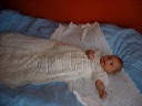 dsc02007.jpg